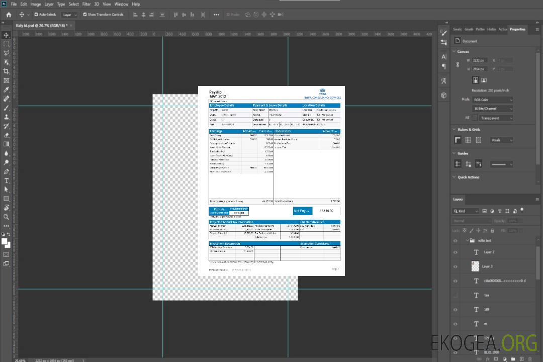 Fiche de paie INDIA TATA Consultancy Services aux formats Word et PDF template Fiche de paie INDIA TATA Consultancy Services aux formats Word et PDF template